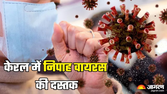 डॉक्टर से समझें क्यों खतरनाक है निपाह वायरस (Picture Credit- Freepik)