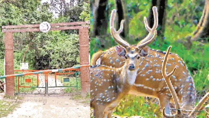 Bihar Tourist Place: वीटीआर का मुख्य द्वार और वन में मौजूद हिरण।