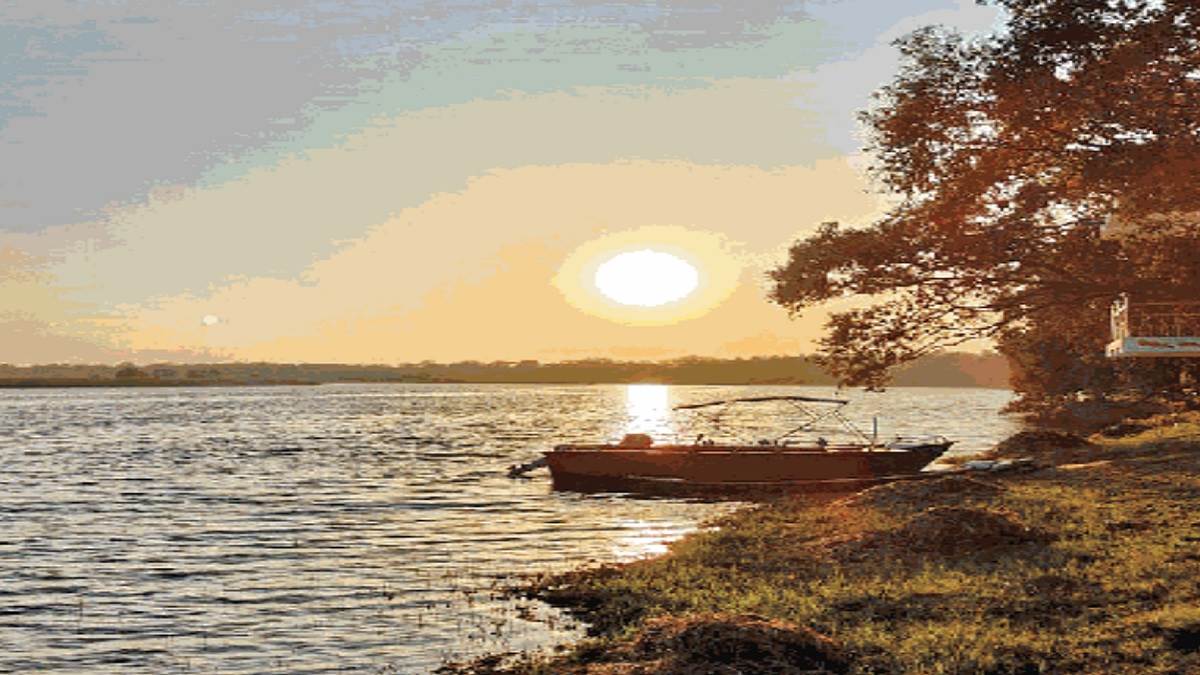 https://www.jagranimages.com/images/newimg/17092024/17_09_2024-west_champaran_23798777.jpg