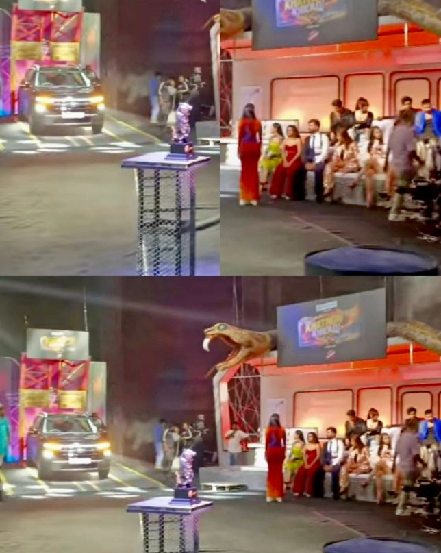 Khatron Ke Khiladi 14 winner