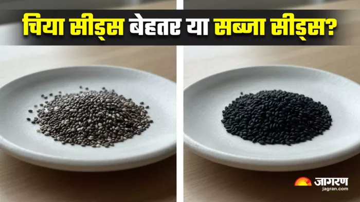 चिया सीड्स या सब्जा सीड्स: वजन घटाने के लिए क्या है बेस्ट ऑप्शन? (Image Source: AI-Generated)