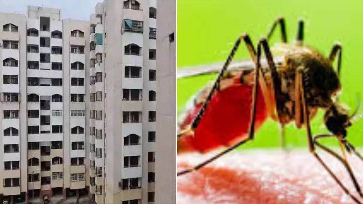 https://www.jagranimages.com/images/newimg/17092025/17_09_2025-dengue_maleria_flat_lda_lucknow_24048925.jpg