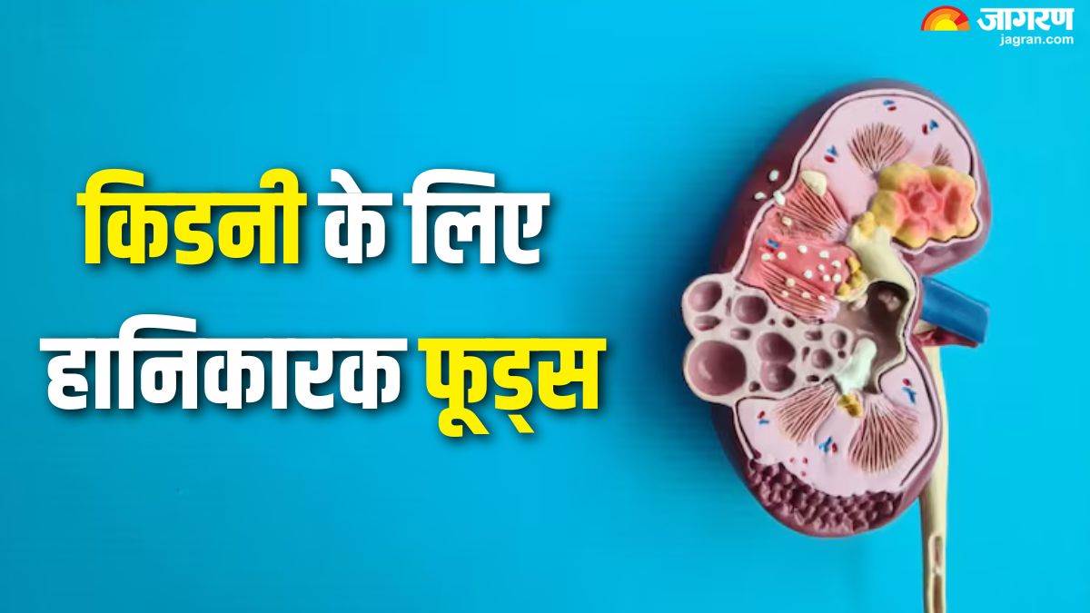 https://www.jagranimages.com/images/newimg/17092025/17_09_2025-kidney_harmful_foods_24050137.jpg