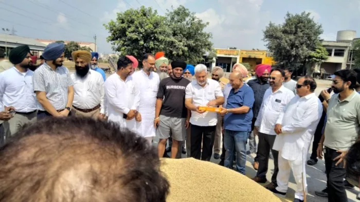 भोगपुर अनाज मंडी से शुरू हुई धान की सरकारी खरीद, कैबिनेट मंत्री लाल चंद कटारू चक्क ने किया शुभारंभ