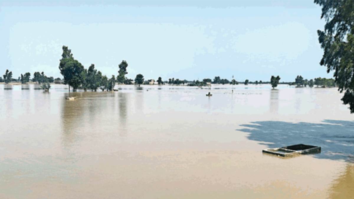 https://www.jagranimages.com/images/newimg/17092025/17_09_2025-punjab_weather_update_24049711.jpg
