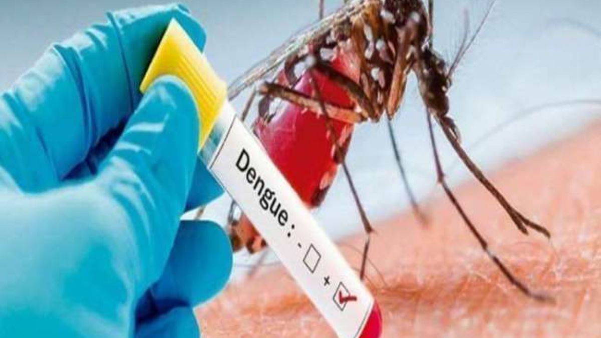contract staff nurse dies of dengue in mirzapur 12 people have died in district so far