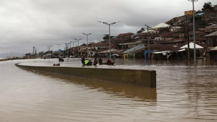 Flood in Nigeria: नाइजारिया में बाढ़ का कहर (फोटो- पीटीआइ)