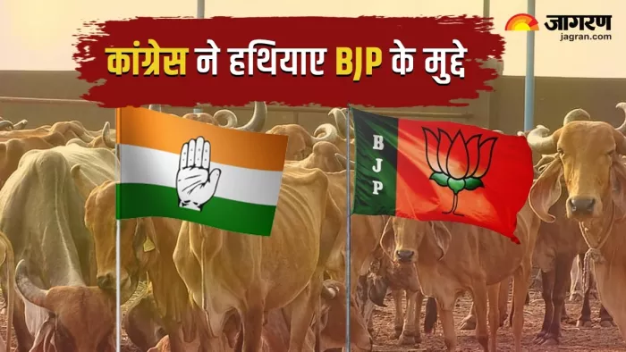 MP Congress Manifesto 2023 कांग्रेस का घोषणापत्र जारी।
