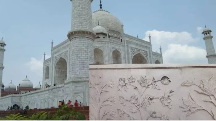 ताजमहल का पीछा नहीं छोड़ रहा गोल्डीकाइरोनोमस।