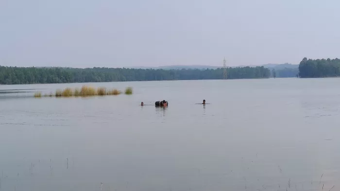 इचाक के लोटवा डैम घूमने गए स्कूल के 6 बच्चे डूबे, दो शव निकाला गया