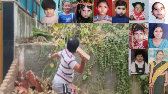 निठारी कांड का फैसला आने के बाद हर्ष के पिता ने पंढेर की कोठी पर फेंका पत्थर। जागरण