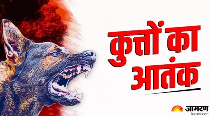 गाजियाबाद में कुत्तों का आतंक! रास्ता चलते लोगों पर हमला कर रहे हैं आवारा कुत्ते।