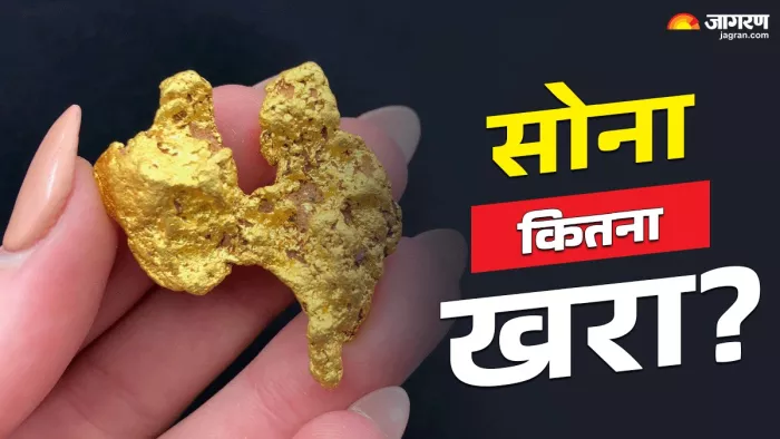 Gold Purity Check: जरूर चेक करें कितना शुद्ध है आपकी गोल्ड ज्वेलरी
