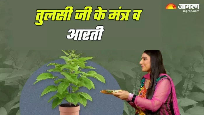 Tulsi Mata Ki Aarti तुलसी पूजा में जरूर करें आरती व मंत्रों का जप।