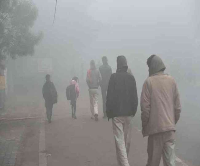 Weather News: इस वर्ष पिछले वर्ष की तुलना में अधिक ठंड पड़ेगी। - फाइल फोटो