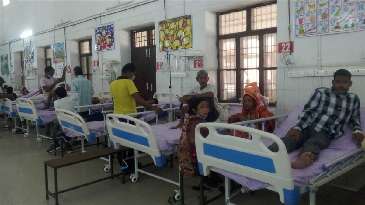 dengue in agra test and treatment of dengue free of cost in agra sn medical college and district hospital agra