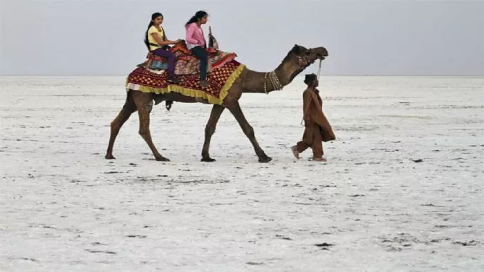 Gujarat: नवंबर में घूमने के लिए गुजरात की इन खूबसूरत जगहों को कर सकते हैं एक्सप्लोर