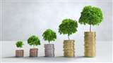 Stock Market Investment Capital Growth, know all details