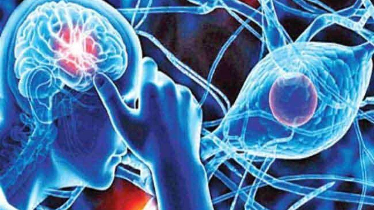 https://www.jagranimages.com/images/newimg/17112022/17_11_2022-national_epilepsy_day_23209576.jpg