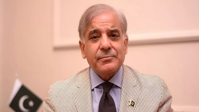 पाकिस्तान के पीएम शहबाज शरीफ (फाइल फोटो)