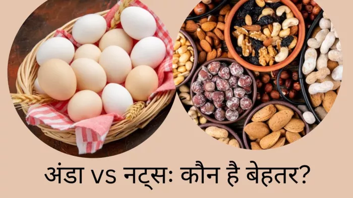 अंडा या नट्स- कौन हैं ज्यादा बेहतर