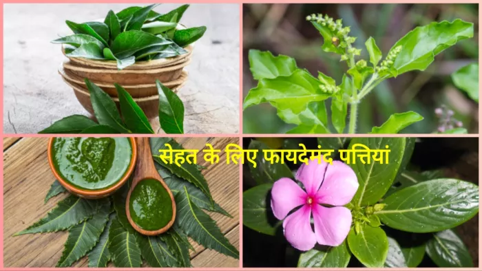 Health Tips: इन पत्तियों के साथ करें दिन की शुरुआत