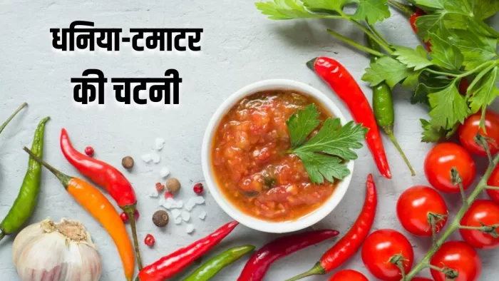 बोरिंग खाने को कहें अलविदा, धनिया-टमाटर की चटनी के साथ! (Image Source: Freepik)