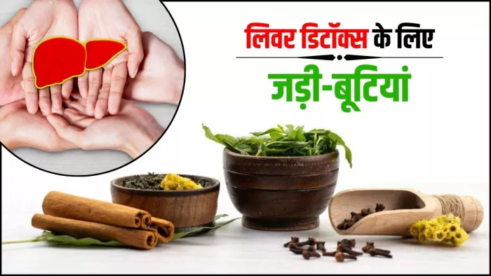 लिवर डिटॉक्स के लिए असरदार हैं ये जड़ी-बूटियां, जान लीजिए इस्तेमाल का सही तरीका (Image Source: Freepik)