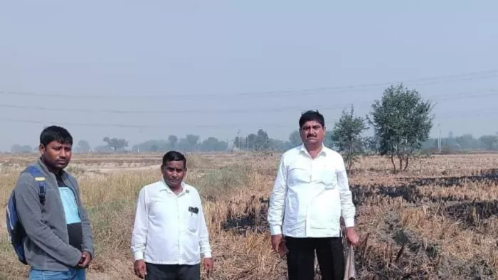 गांव रिजोर में पराली जलाने की जांच करते कृषि व राजस्व की टीम- जागरण