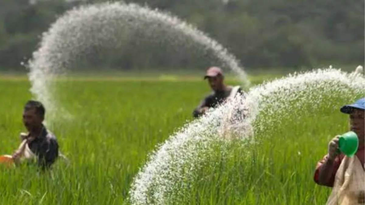 2500 metric tonnes of dap and nps to arrive soon in hardoi in uttar pradesh