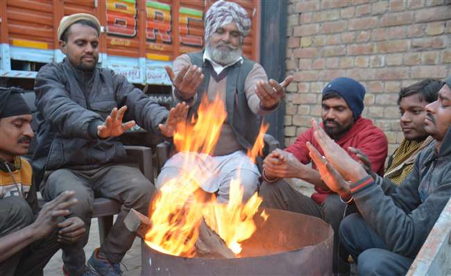 Weather Update Haryana: मौसम विभाग का अलर्ट, हरियाणा में 5 दिनों तक चलेगी शीतलहर