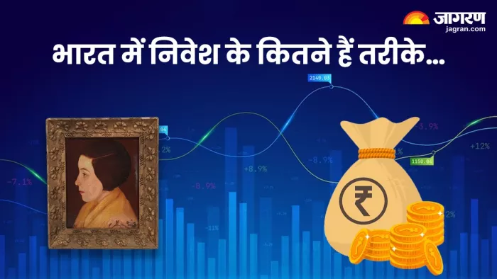 HNI एंटीक, पेंटिंग जैसे निवेश उपकरणों में निवेश करते हैं।
