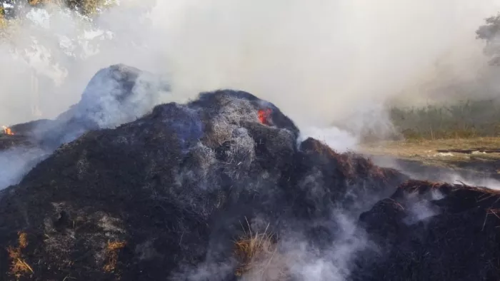 खलिहान में असामाजिक तत्वों ने लगाई आग, लाखों का धान जलकर राख; कड़ी मशक्कत के बाद पाया गया काबू