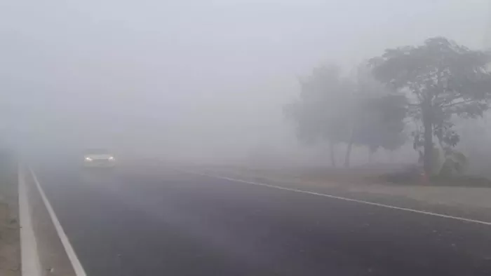 बिहार के 5 जिले घने कोहरे की चपेट में (जागरण)