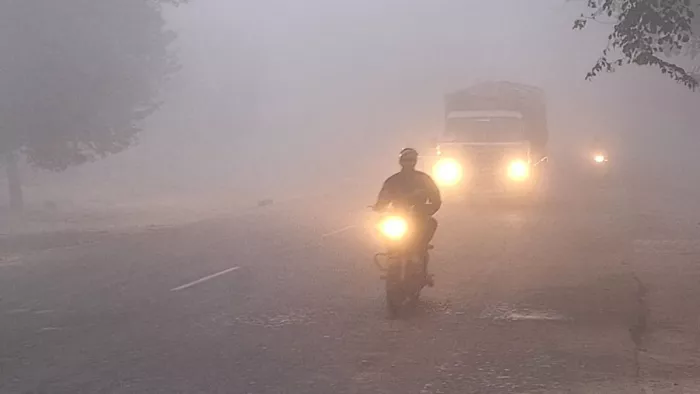 Weather Update: कोहरे की फाइल फोटो का उपयोग किया गया है।