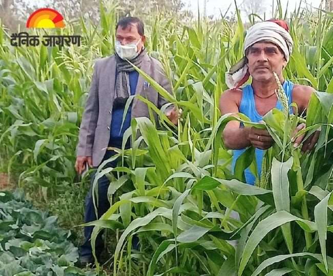 https://www.jagranimages.com/images/newimg/18012022/18_01_2022-jharkhand_farmar_22392078.jpg