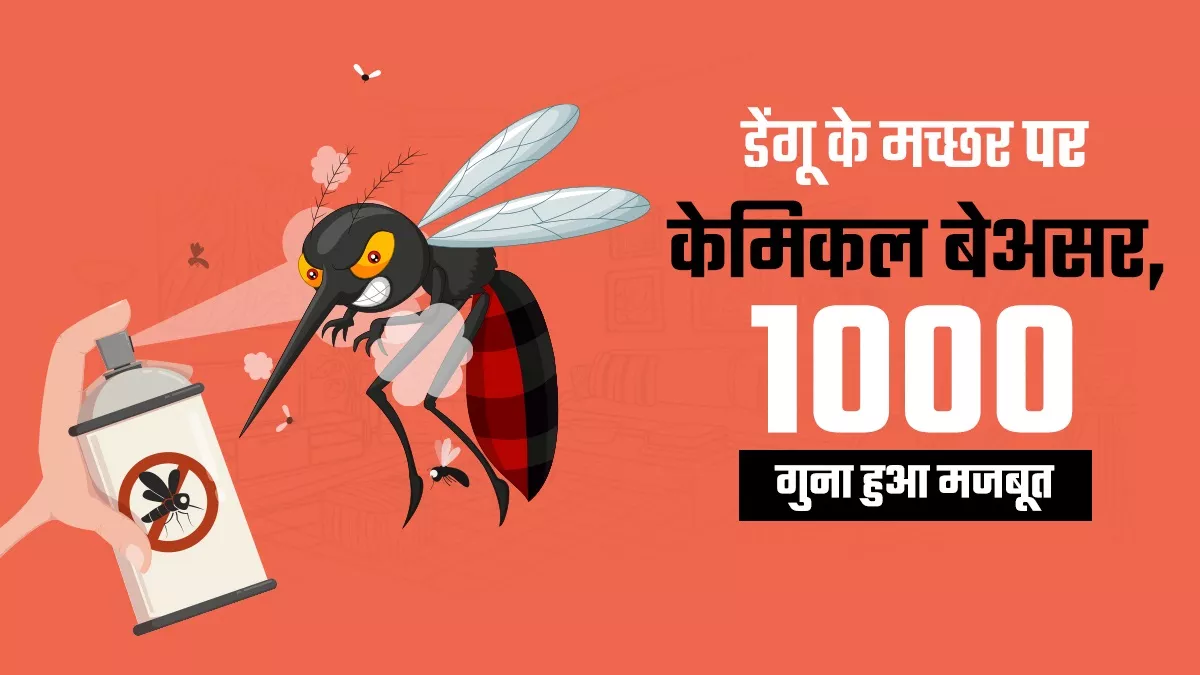 पिछले दो दशक में डेंगू के मामलों में 8 गुने से ज्यादा की वृद्धि देखी गई है।