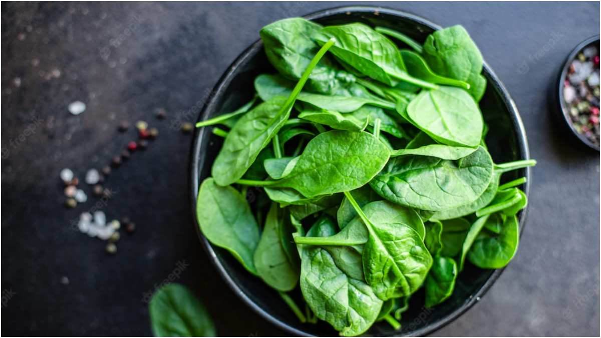 Spinach Side Effects पोषक तत्वों से भरी होती है पालक, लेकिन इन लोगों