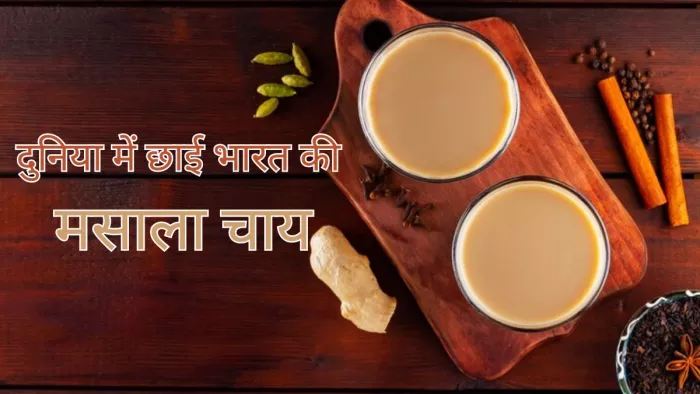 दुनियाभर में छाया मसाला स्वाद का जादू