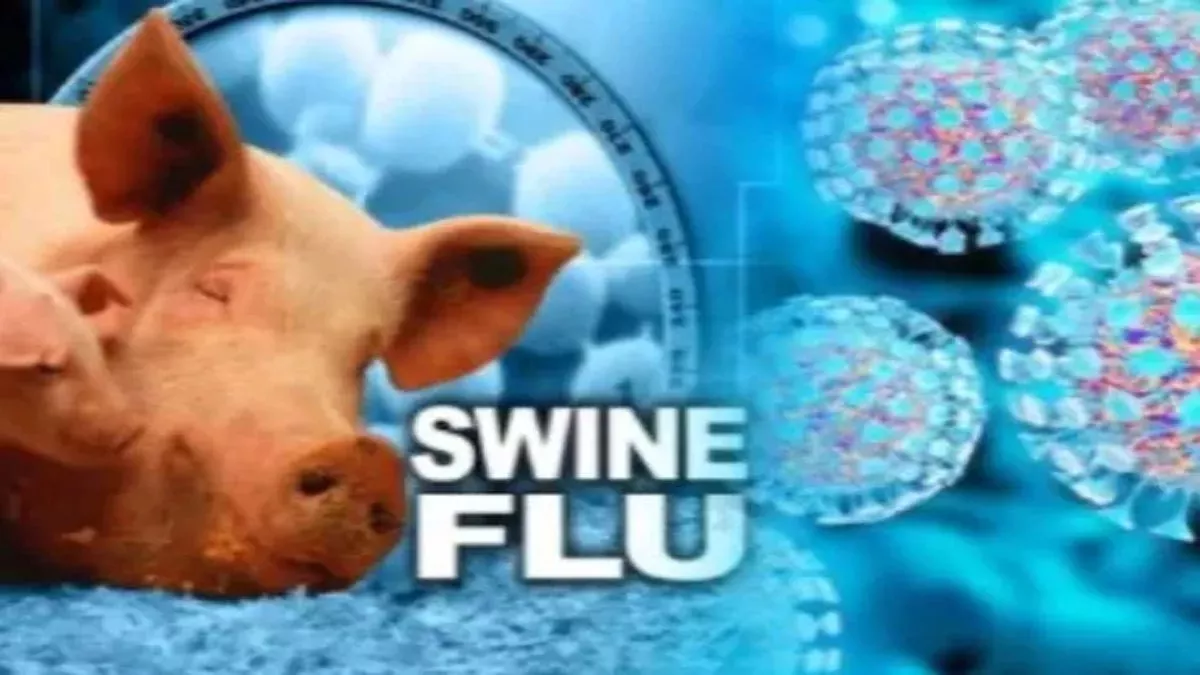 Swine Flu Cases: स्वाइन फ्लू का बढ़ रहा प्रकोप, सामने आ रहे नए मामले... 42 सैंपल में से 15 मिल चुके पॉजिटिव