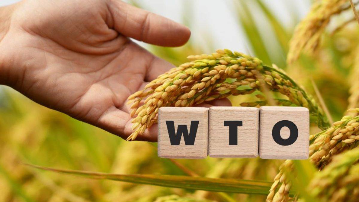 https://www.jagranimages.com/images/newimg/18012024/18_01_2024-wto_cover_23632723.jpg