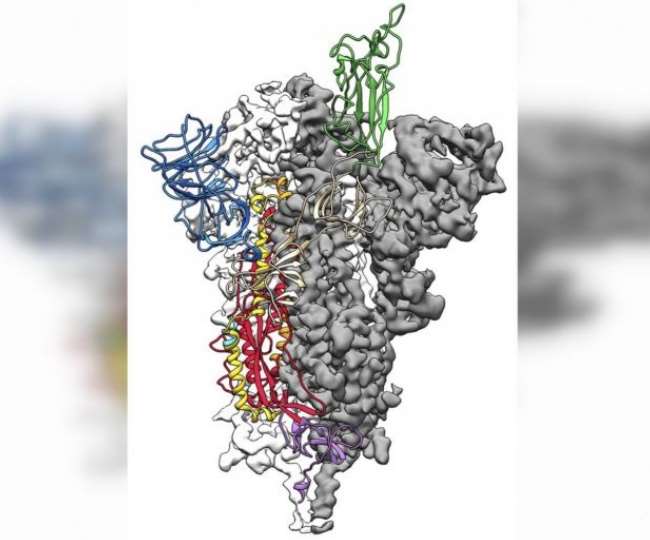 https://www.jagranimages.com/images/newimg/18022021/18_02_2021-coronavirus_pandemic5_21382033.jpg