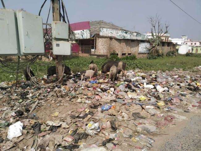 people are craving for basic facilities in lohardaga garbage piled up in the city