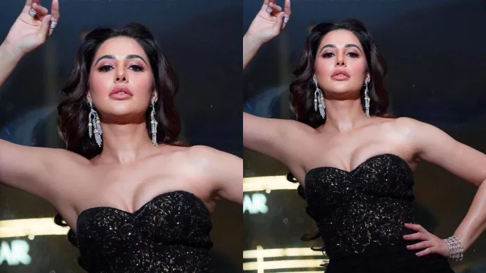 Nargis Fakhri Bollywood Harassment: नरगिस फाखरी फिल्म एक्ट्रेस है।