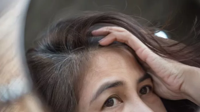 बालों के असमय सफेद होने की समस्या को दूर करने के लिए खाएं ये फूड्स