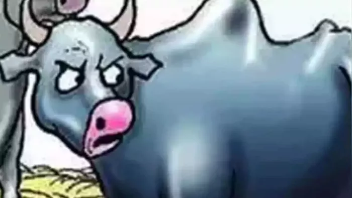 एक युवक द्वारा गर्भवती भैंस के साथ कुकर्म करने का मामला सामने आया है। सांकेतिक तस्वीर
