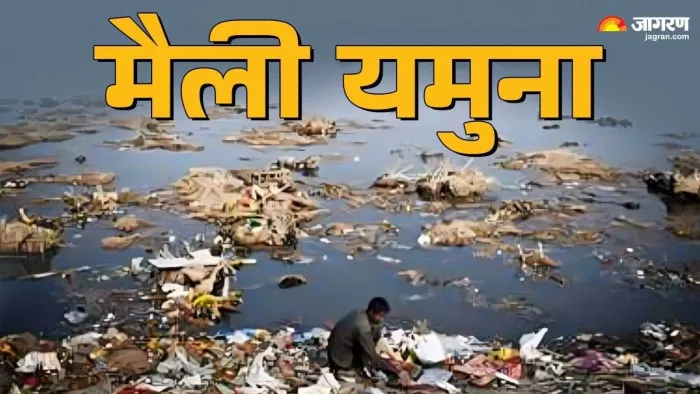 यमुना को साफ करने के लिए सरकार ने प्लान तैयार किया है। फाइल फोटो