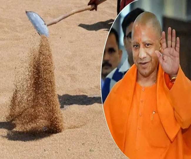 Yogi Adityanath Government 2.0 : CM Yogi Adityanath Wheat Purchase