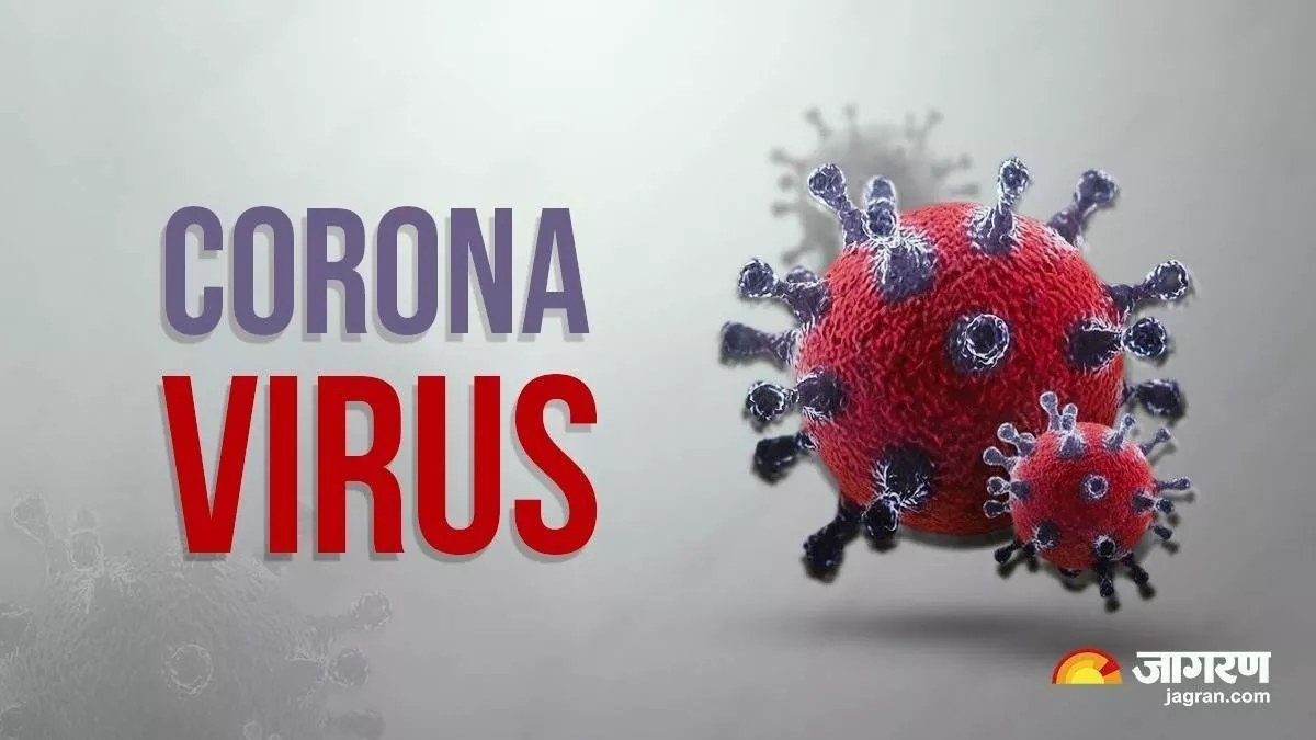 शोधकर्ताओं ने दावा किया कि रेकून डॉग से कोरोनावायरस फैला। (फोटो सोर्स: एपी)