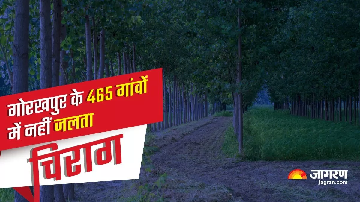 गोरखपुर के 465 गांवों में नहीं जलता चिराग। (प्रतीकात्मक तस्वीर)